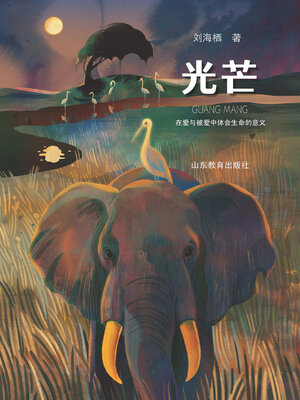 cover image of 光芒
